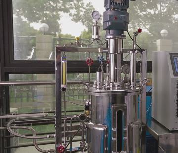 Kultivierung von E. coli im Reaktor.