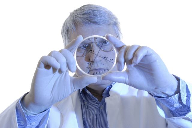 Proteinexpression von Genen in S&auml;ugerzellen ...